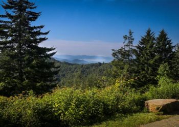 6 Compelling Reasons to Prioritize Relaxation While on Vacation