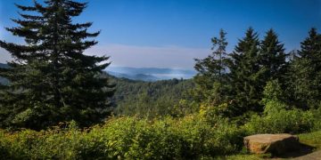 6 Compelling Reasons to Prioritize Relaxation While on Vacation