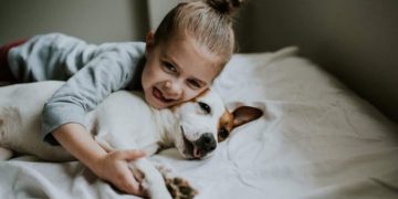 How to Plan Financially for a New Pet in New Zealand