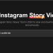 IGANONY – Top Instagram Story Viewer in 2024