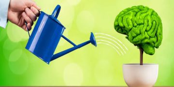 Lifestyle Changes to Reduce the Risk of a Brain Injury