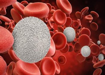 Understanding Blood Cancer: Diagnosis, Stages, and Treatment Options in India