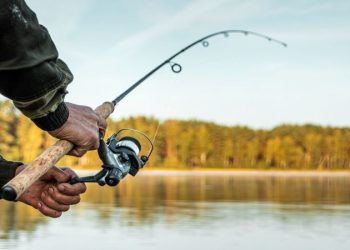 What Gear Do You Need for Fishing