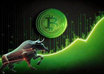 Cruising the Investment Wave: Bitcoin Bulls