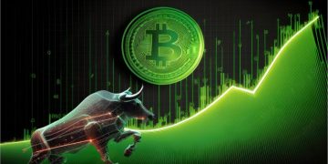 Cruising the Investment Wave: Bitcoin Bulls