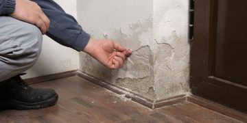 Identifying Rising Damp: Signs, Causes, and Treatment Options for Damp in Houses