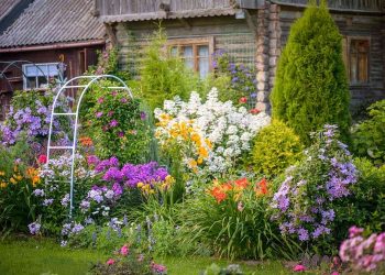 Defining Boundaries In Garden Design