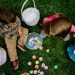 Egg-citing Easter Activities: Fun Ideas for the Whole Family