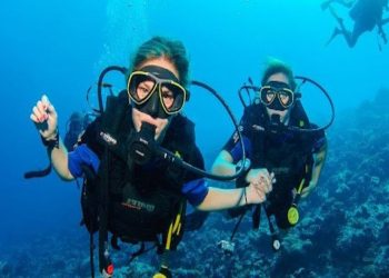 Scuba Diving in the Maldives 