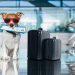 Is Your Pet Ready To Travel?
