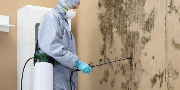 The Ultimate Guide to Mold Remediation: Protecting Your Home and Health