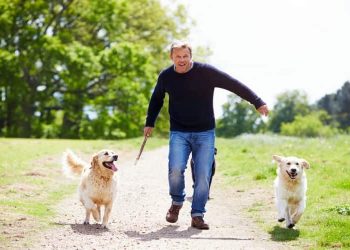 Starting Your Dog Walking Business in 4 Easy Steps