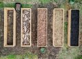 Maximizing Small Spaces: The Power of Raised Garden Beds