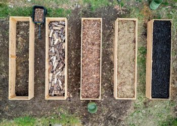 Maximizing Small Spaces: The Power of Raised Garden Beds