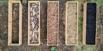 Maximizing Small Spaces: The Power of Raised Garden Beds
