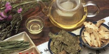 How Traditional Chinese Medicine Addresses Stress, Burnout, and Wellnes
