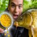 Carp Fishing with the Right Bait