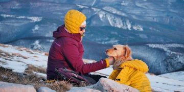 Choosing the Right Dog Jacket