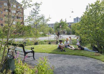 Public-Private Partnerships: How Businesses Can Support Sustainable Green Spaces