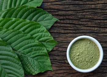 Kratom Buyers Guide: For Individuals Living in the U.S. States