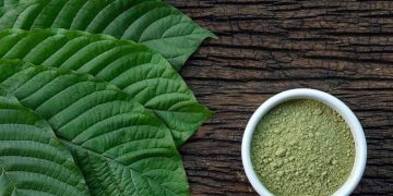 Kratom Buyers Guide: For Individuals Living in the U.S. States
