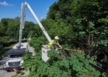 How Vegetation Management Supports Grid Resilience and Disaster Preparedness