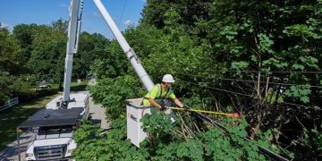 How Vegetation Management Supports Grid Resilience and Disaster Preparedness