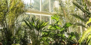 Styling with Indoor Plants: A Room-by-Room Guide