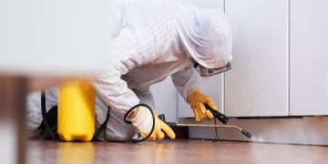 Pest Control: Effective Solutions for a Pest-Free Home