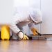 Pest Control: Effective Solutions for a Pest-Free Home