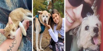 How Pets Transform Daily Life into Something Extraordinary