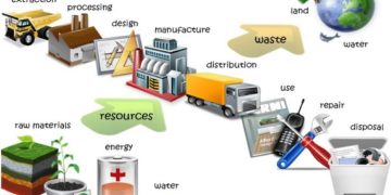 Understanding Life Cycle Analysis