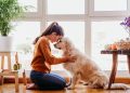 A Practical Guide to Matching Your Home Life With a Dog’s Daily Needs