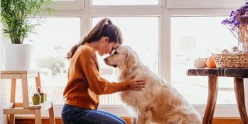 A Practical Guide to Matching Your Home Life With a Dog’s Daily Needs