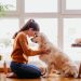 A Practical Guide to Matching Your Home Life With a Dog’s Daily Needs
