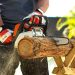 Getting Your Chainsaw & Garden Ready for Winter