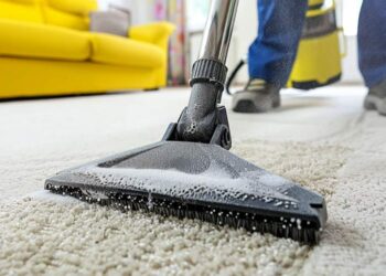 DIY vs Professional: Should You Trust Professional Carpet Cleaning Services Near Bothell With Your High-End Carpets?