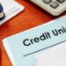 Why Credit Unions Offer More Than Just Savings