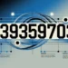 8393597031 Explained: What It Is and How to Handle It